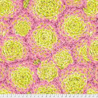 Kaffe Fassett Succulent PWPJ091 - LIME