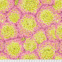 Kaffe Fassett Succulent PWPJ091 - LIME