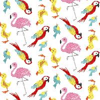Colourful Birds