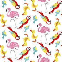 Colourful Birds